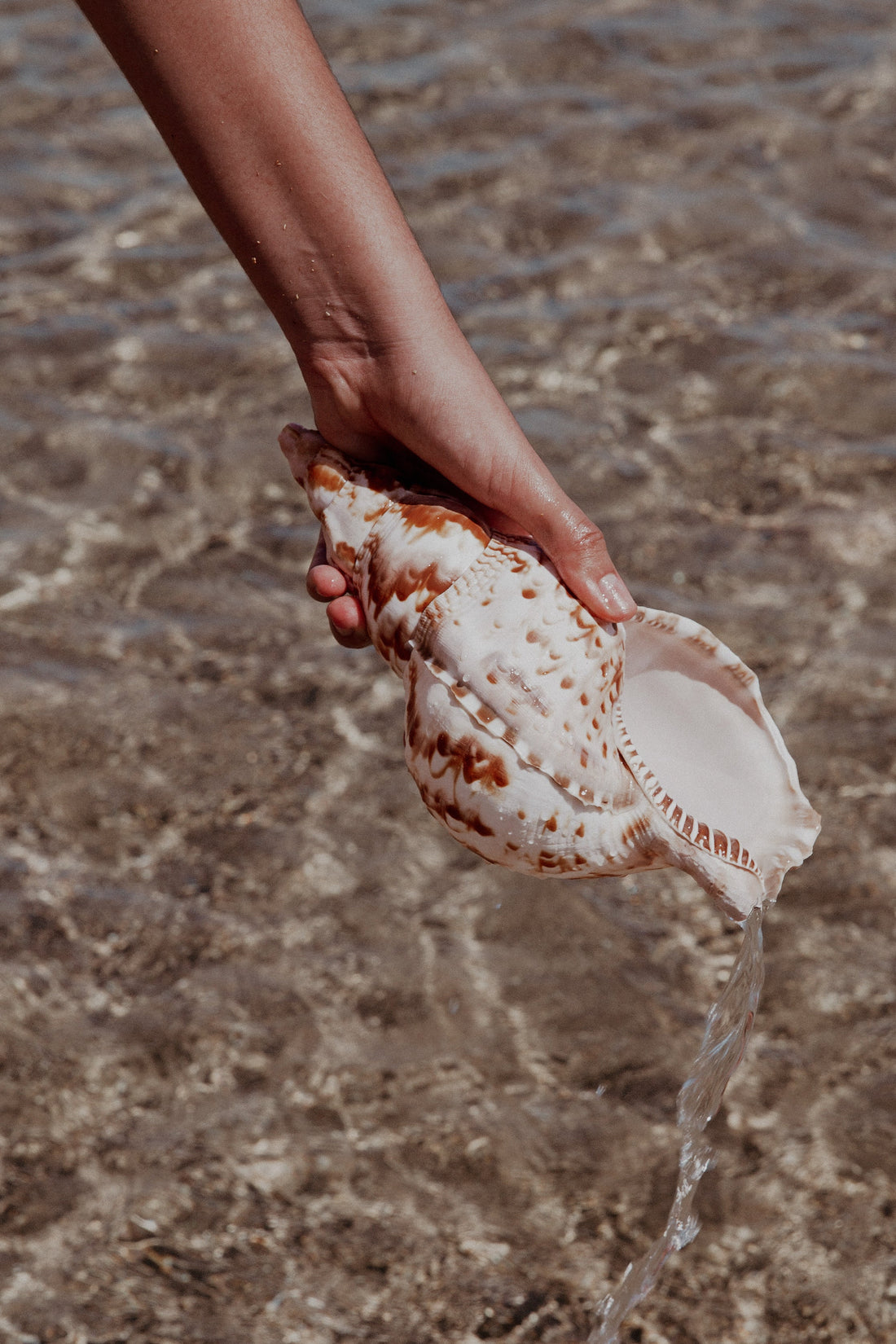 5 Reasons Your Skin Is Dry (And Why Your Soap Might Be the Problem)