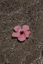 FLOR Soap Bar